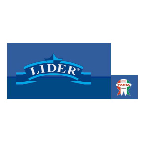 logo_Arc lider