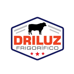 logo_driluz